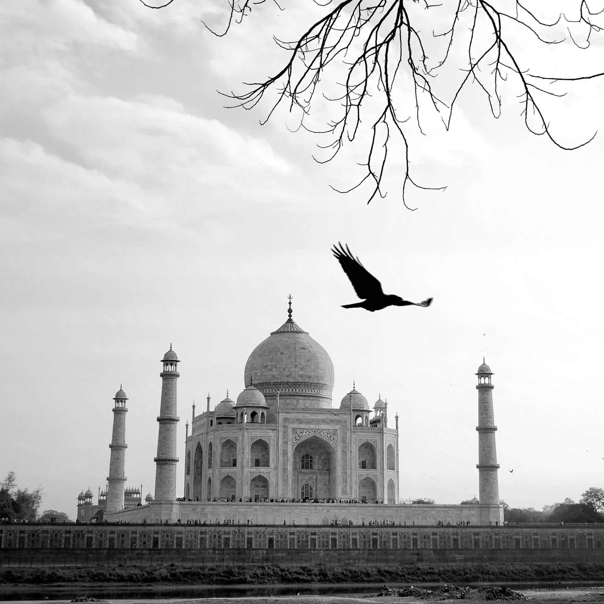 Tajmahal photograph 8